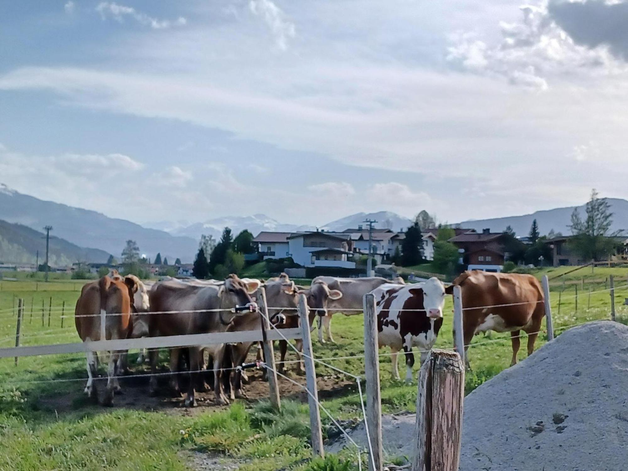 Lampererhof Villa Санкт Йохан ин Тирол Екстериор снимка